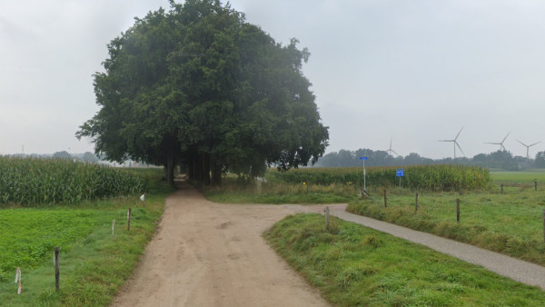 001 WP Vletgaarsmaten Beukenlaan nabij kruising met Enkweg
